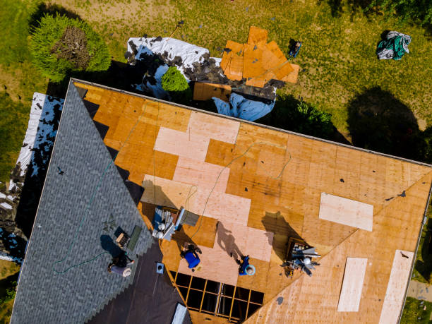 Best Roof Restoration Services  in Stepney, CT