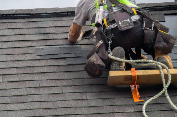 Best Roof Gutter Cleaning  in Stepney, CT